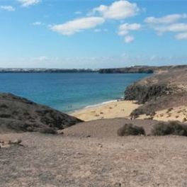 Papagayo-Lanzarote