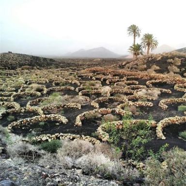 Spain-Lanzarote